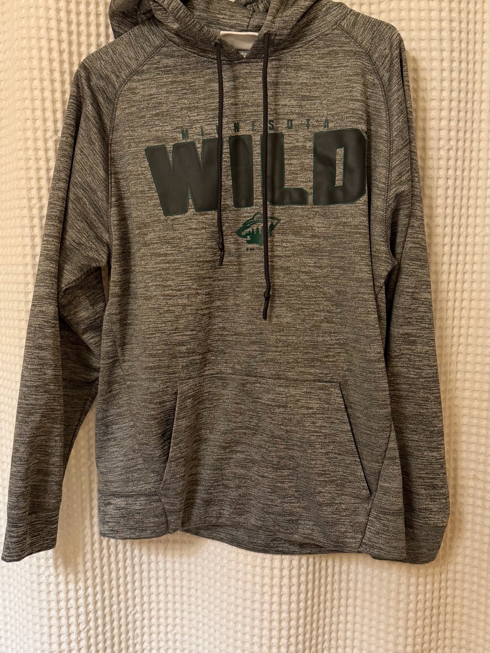 Champion Men's Gray 'WILD' Pullover Hoodie with Green Logo